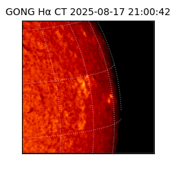 gong - 2025-08-17T21:00:42