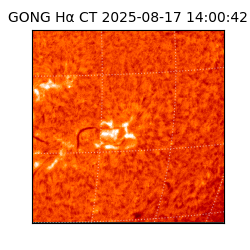 gong - 2025-08-17T14:00:42