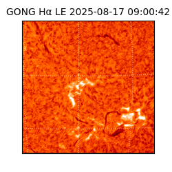 gong - 2025-08-17T09:00:42