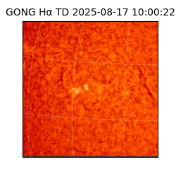 gong - 2025-08-17T10:00:22