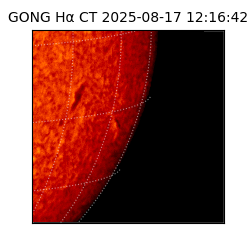 gong - 2025-08-17T12:16:42