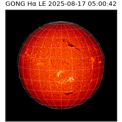 gong - 2025-08-17T05:00:42