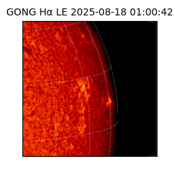 gong - 2025-08-18T01:00:42