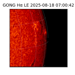 gong - 2025-08-18T07:00:42