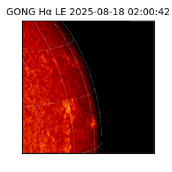 gong - 2025-08-18T02:00:42