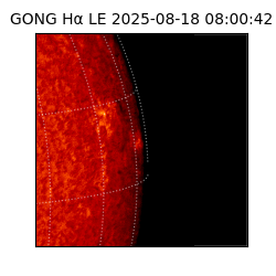 gong - 2025-08-18T08:00:42