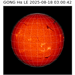 gong - 2025-08-18T03:00:42