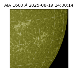 saia - 2025-08-19T14:00:14.125000