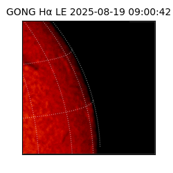 gong - 2025-08-19T09:00:42