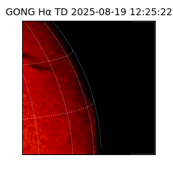 gong - 2025-08-19T12:25:22