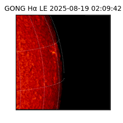 gong - 2025-08-19T02:09:42