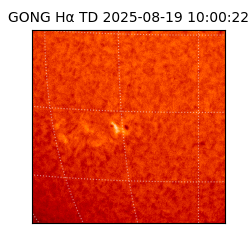 gong - 2025-08-19T10:00:22