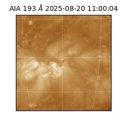 saia - 2025-08-20T11:00:04.843000