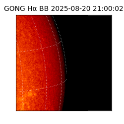 gong - 2025-08-20T21:00:02