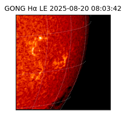 gong - 2025-08-20T08:03:42