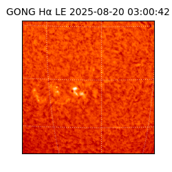 gong - 2025-08-20T03:00:42