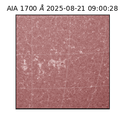 saia - 2025-08-21T09:00:28.717000