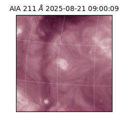 saia - 2025-08-21T09:00:09.626000