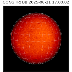 gong - 2025-08-21T17:00:02