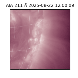 saia - 2025-08-22T12:00:09.626000