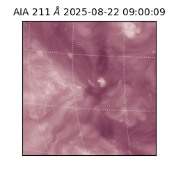 saia - 2025-08-22T09:00:09.626000