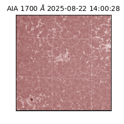 saia - 2025-08-22T14:00:28.717000