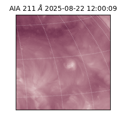 saia - 2025-08-22T12:00:09.626000