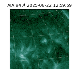 saia - 2025-08-22T12:59:59.121000