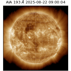 saia - 2025-08-22T09:00:04.843000