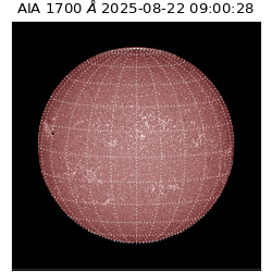 saia - 2025-08-22T09:00:28.718000