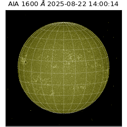 saia - 2025-08-22T14:00:14.126000