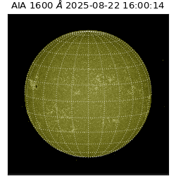 saia - 2025-08-22T16:00:14.131000