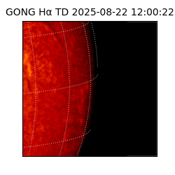 gong - 2025-08-22T12:00:22