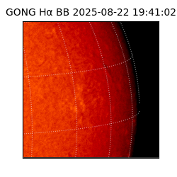 gong - 2025-08-22T19:41:02
