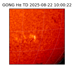 gong - 2025-08-22T10:00:22