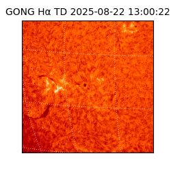 gong - 2025-08-22T13:00:22