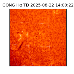gong - 2025-08-22T14:00:22