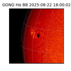 gong - 2025-08-22T18:00:02