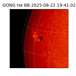 gong - 2025-08-22T19:41:02