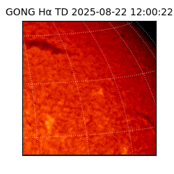 gong - 2025-08-22T12:00:22
