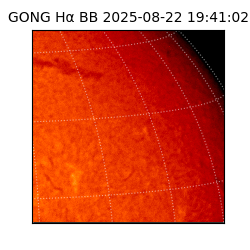 gong - 2025-08-22T19:41:02
