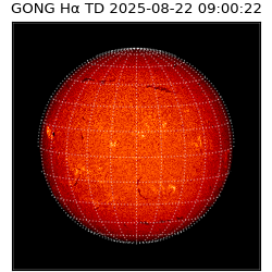 gong - 2025-08-22T09:00:22