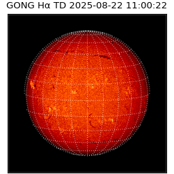 gong - 2025-08-22T11:00:22