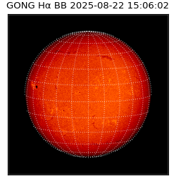 gong - 2025-08-22T15:06:02