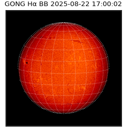 gong - 2025-08-22T17:00:02