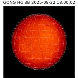 gong - 2025-08-22T18:00:02