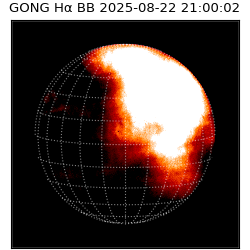 gong - 2025-08-22T21:00:02