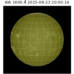 saia - 2025-08-23T20:00:14.126000