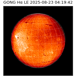 gong - 2025-08-23T04:19:42