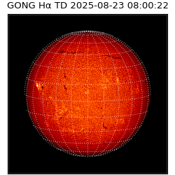 gong - 2025-08-23T08:00:22